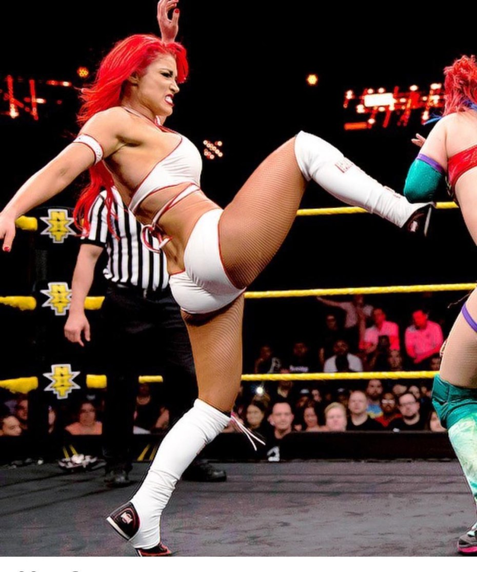 WWE Nikki Bella Bikini