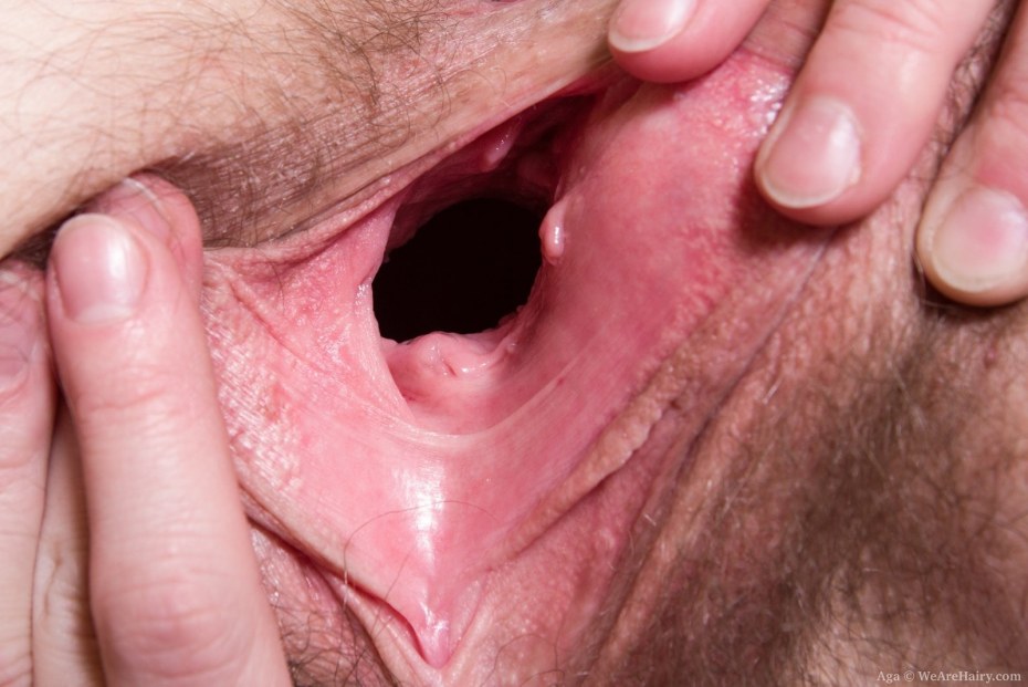 Женское влагалище внутри