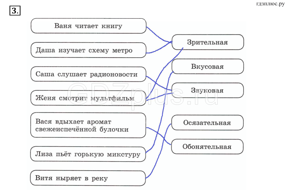 Учебник купил по одинаковой