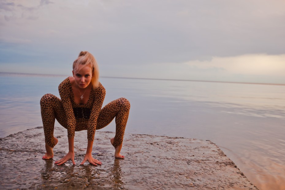 PV контроллер заряда ls1024rp