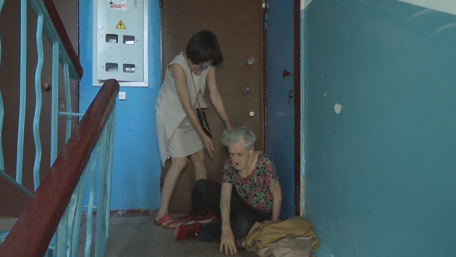 Чёрная американский питбультерьер заводчики