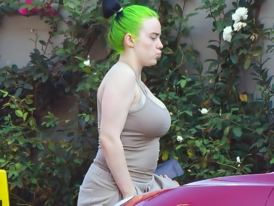 Билли Айлиш папарацци 2020