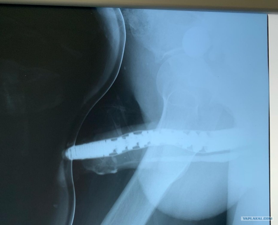 Корона грешника хентай групповуха