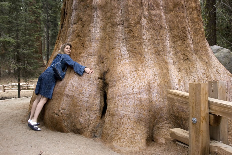 Pz19jb карбюратор