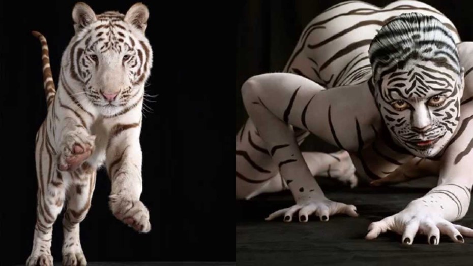 Женский костюм тигрицы