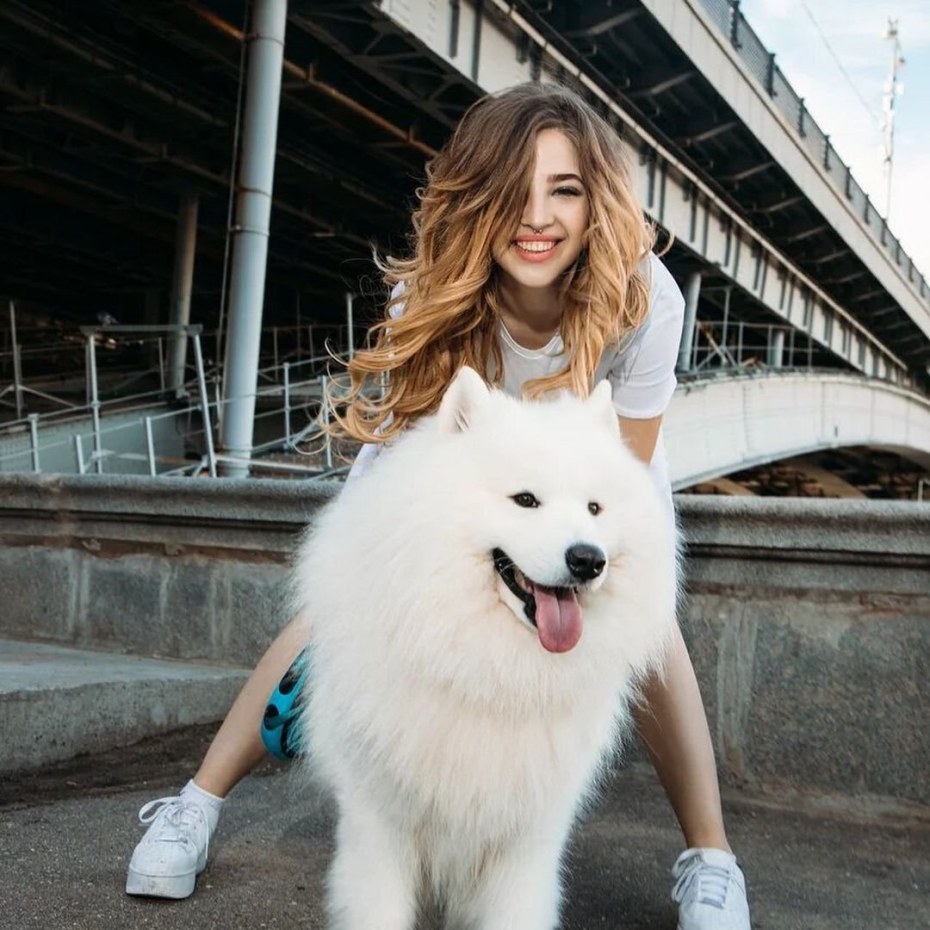 Аня Покровская Дрим тим