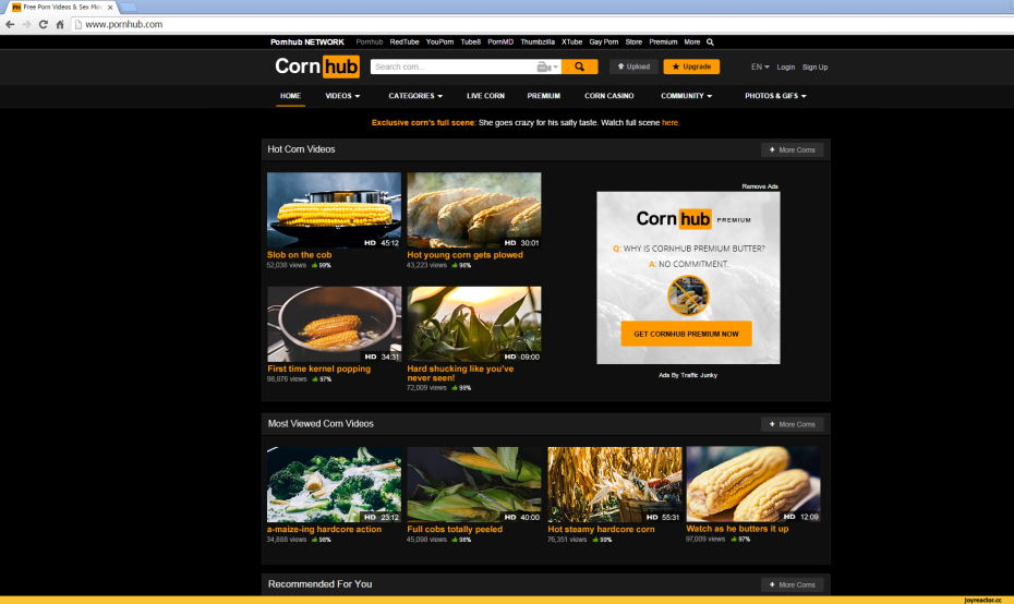 Не отрекаются любя текст песни