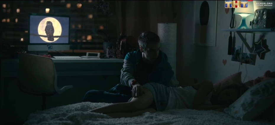 Елизавета Кононова закон каменных джунглей