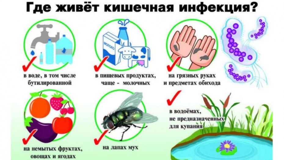 Факторы заражения кишечных инфекций