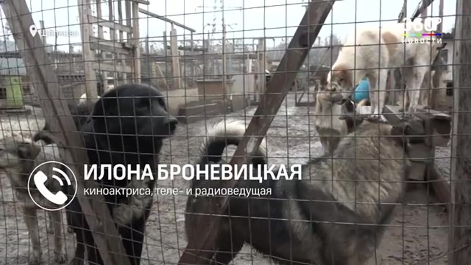 Одинокий вечер без тебя текст