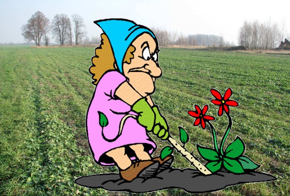 Прополка огорода приколы