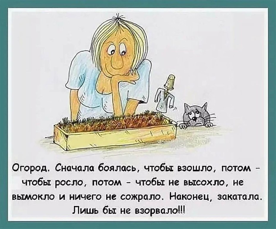 Анекдоты про огород
