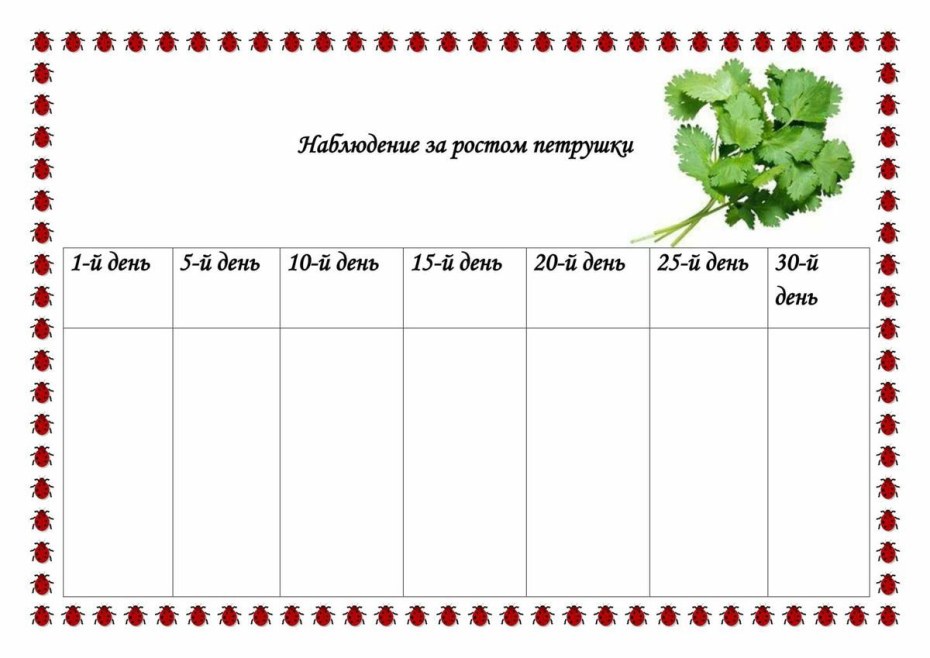 Дневник наблюдений за растениями
