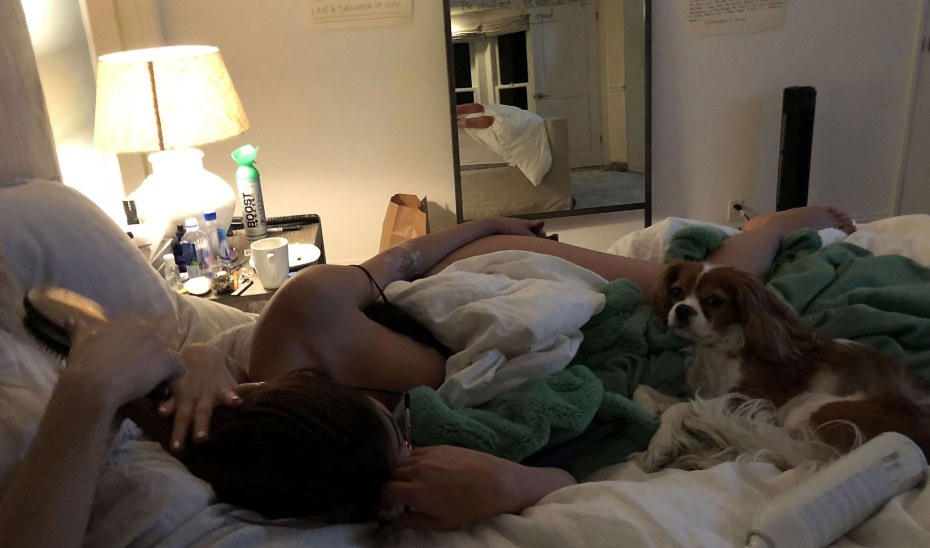 Заставка Порнхаб