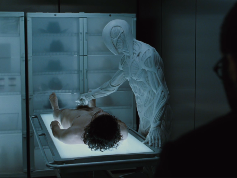 Голая ПАЗ Вега, голая Paz Vega