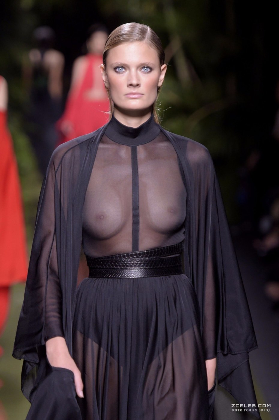 Madalina pica модель