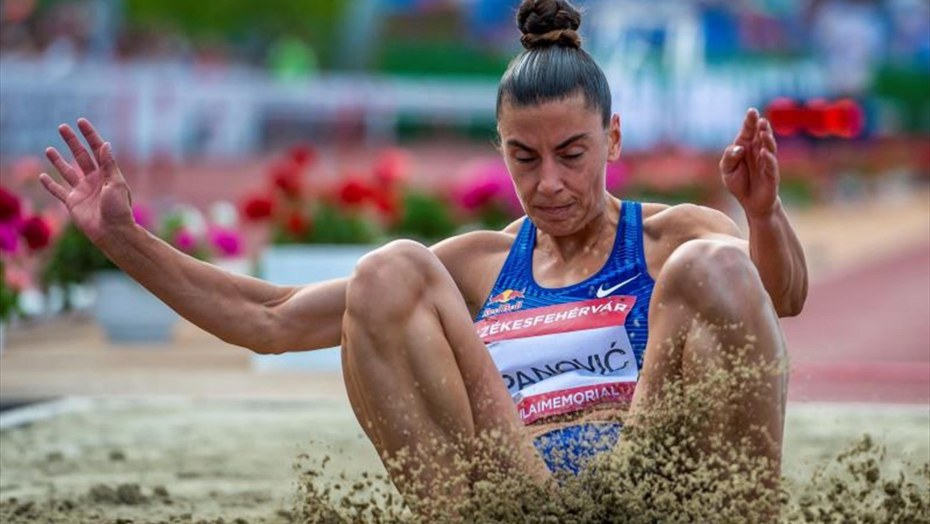 Иванна Кнолл Zosia