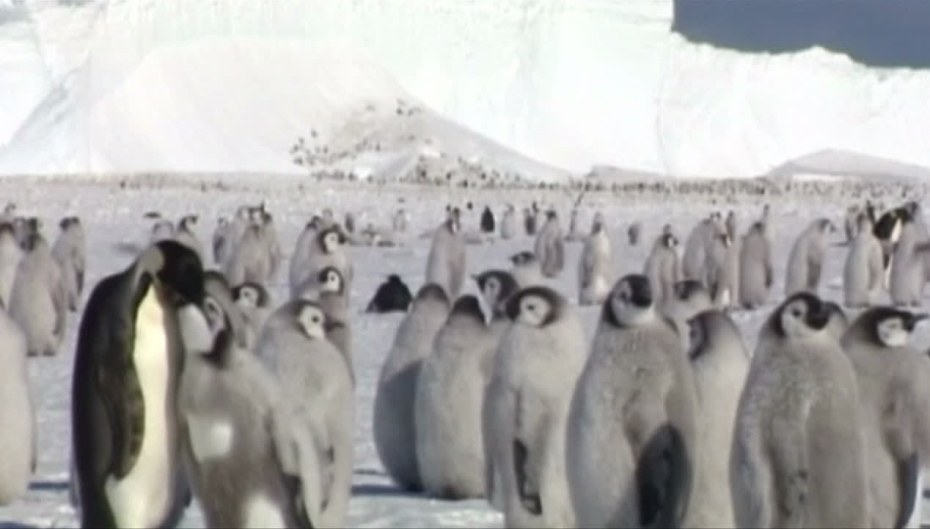 Трах с туристкой в Крыму