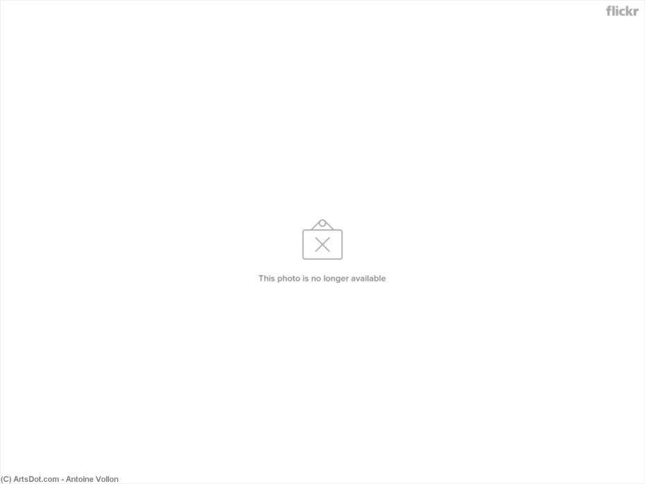 Майкл Джексон концерт