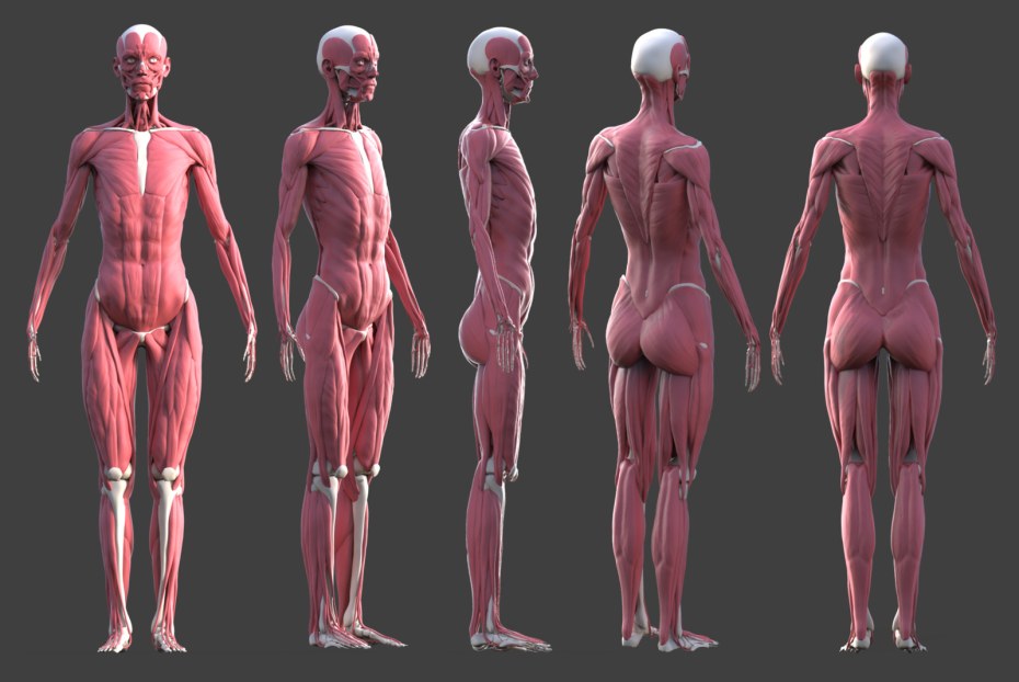 Митина Кристина Романовна