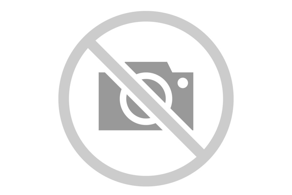 Ночная эльфийка-ассасин