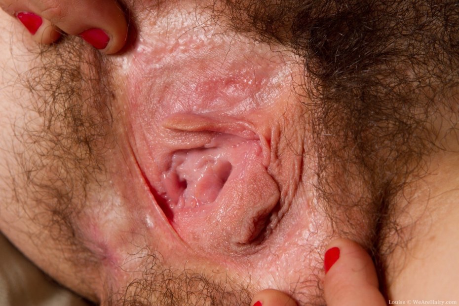 Небритая вагина крупно