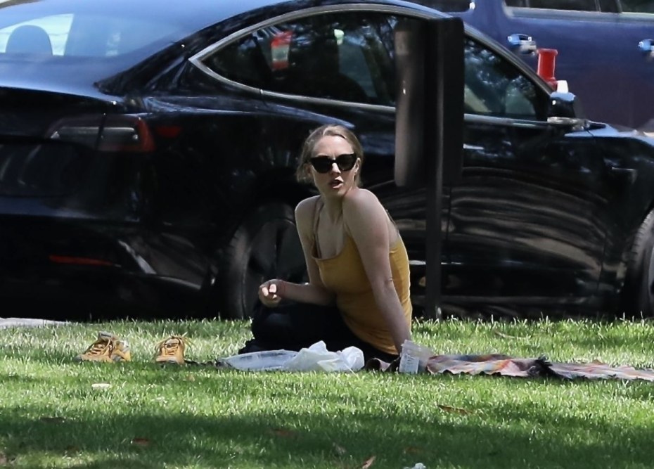 Аманда Сейфрид украденные