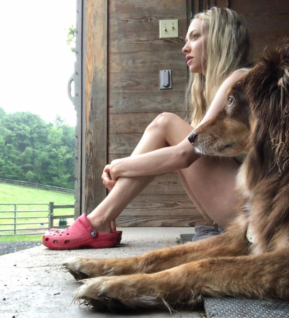 Аманда Сейфрид член