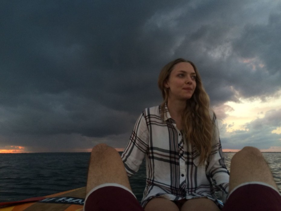 Элизабет Холмс Аманда Сейфрид