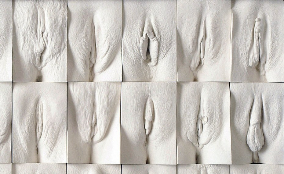 Самое красивое влагалище