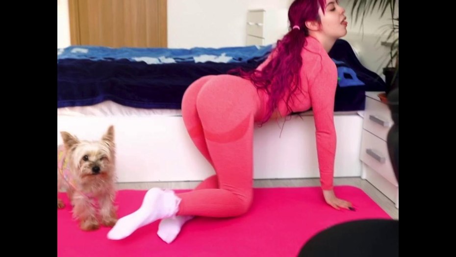 Ксения Шевелева Инстаграм xeniasheveleva