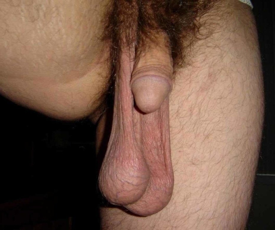 Самые большие мужские яйца