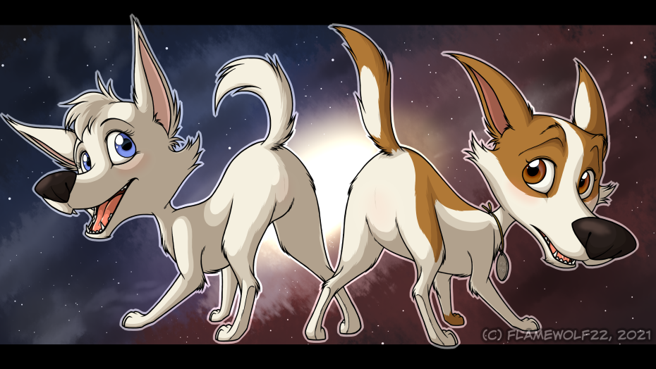 Порнозвезды Марк дорсель